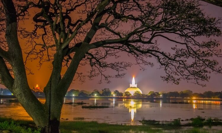Top 10 Must-Visit Places in Sri Lanka for First-Time Travelers