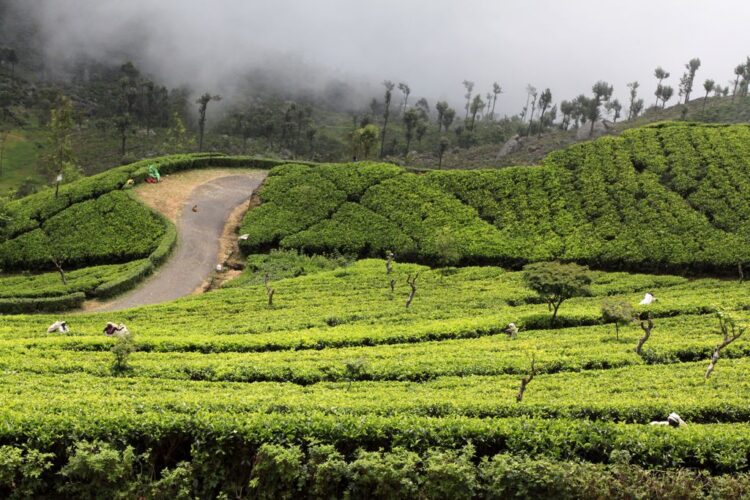 7 Off-the-Beaten-Path Destinations in Sri Lanka